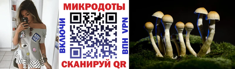 где купить наркотик  Новый Уренгой  Псилоцибиновые грибы Cubensis 