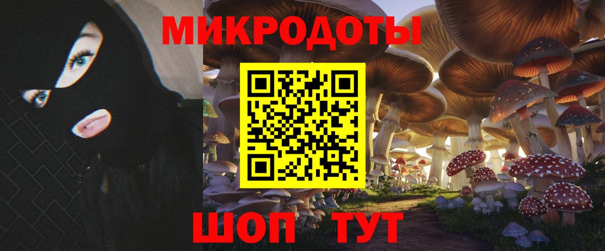 Псилоцибиновые грибы мицелий  Вход с VPN  Новый Уренгой 